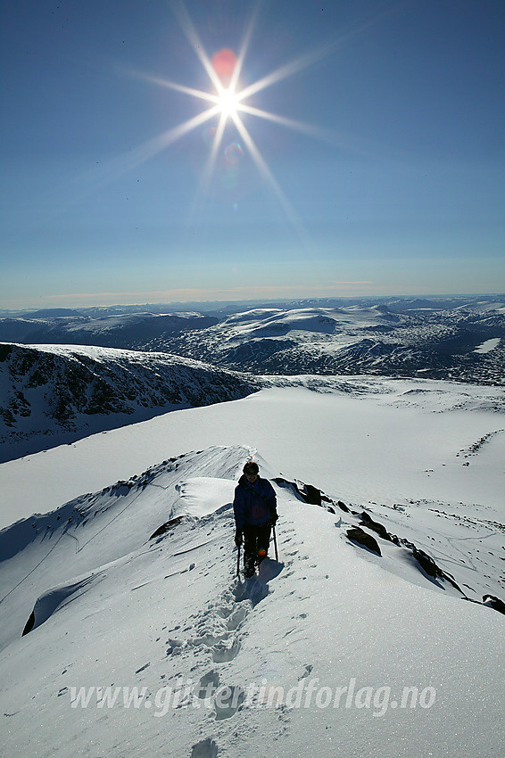 På vei opp ryggen øst for Steinflytinden. I bakgrunnen ses Steinflybreen.