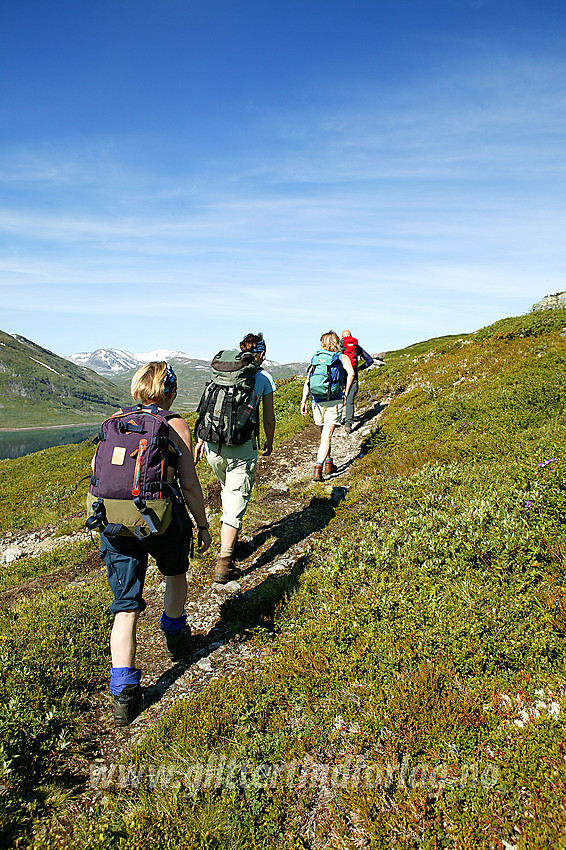 På vei opp den gode kneika fra Bygdin og opp mot broa over Høystakka på ruta fra Eidsbugarden mot Gjendebu og Torfinnsbu.