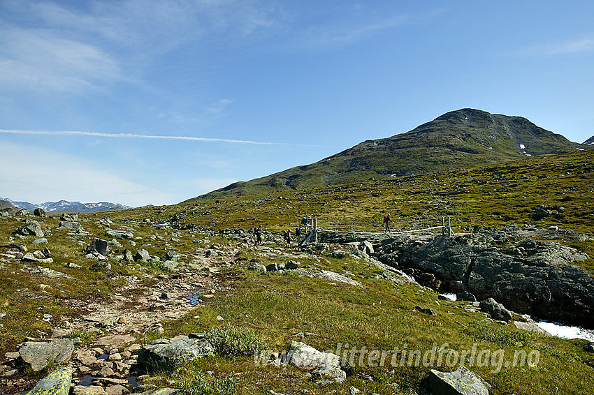 Hengebroa på stien fra Eidsbugarden mot Gjendebu og Torfinnsbu krysses. I bakgrunnen Uksedalshøe (1694 moh).