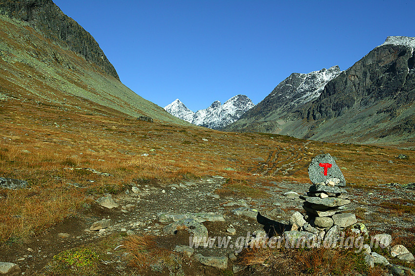 I Torfinnsdalen med Store Knutsholstinden (2341 moh) og Vestre Leirungstinden (2250 moh) i bakgrunnen.