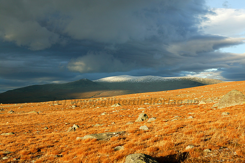 På nordsiden av Valdresflye en høstkveld med Heimdalshøe (1843 moh) i bakgrunnen.