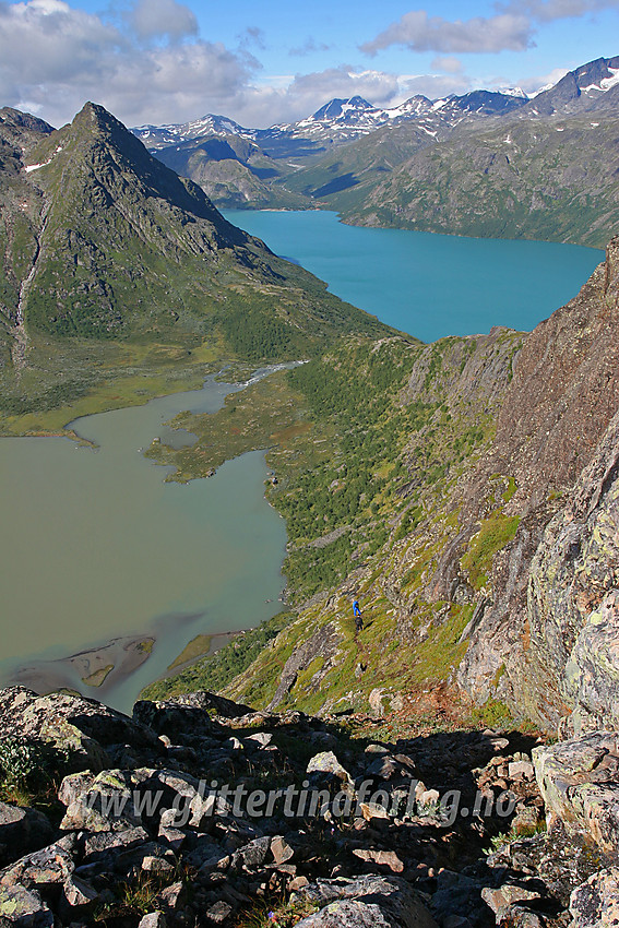 På vei over Knutshøe en flott sommerdag med Jotunheimens tindeteppe i bakgrunnen. Etter toppen tar en blindvei ned i fjellsiden, som ender over styggbratt og vanskelig terreng. Her skal man ikke gå ned, men følge ryggen videre ut.