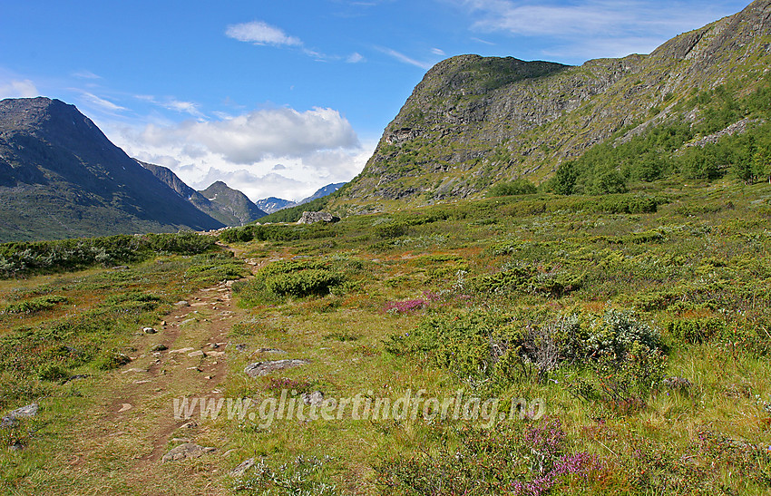 På stien gjennom Leirungsdalen langs foten av Knutshøe.