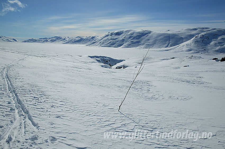 På vei opp Langedalen langs kvisteruta fra Torfnnsbu mot Gjendebu. I bakgrunnen Bygdin og bl.a. Grøneberget.