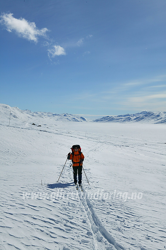 På vei fra Torfinnsbu mot Gjendebu via Langedalen langs kvistet vintertrasé. I bakgrunnen østover Bygdin mot Bygdissundet.