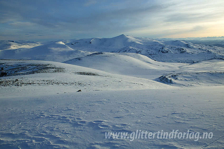 På Besshøbrean med utsikt nordover mot Nautgardstinden (2258 moh).