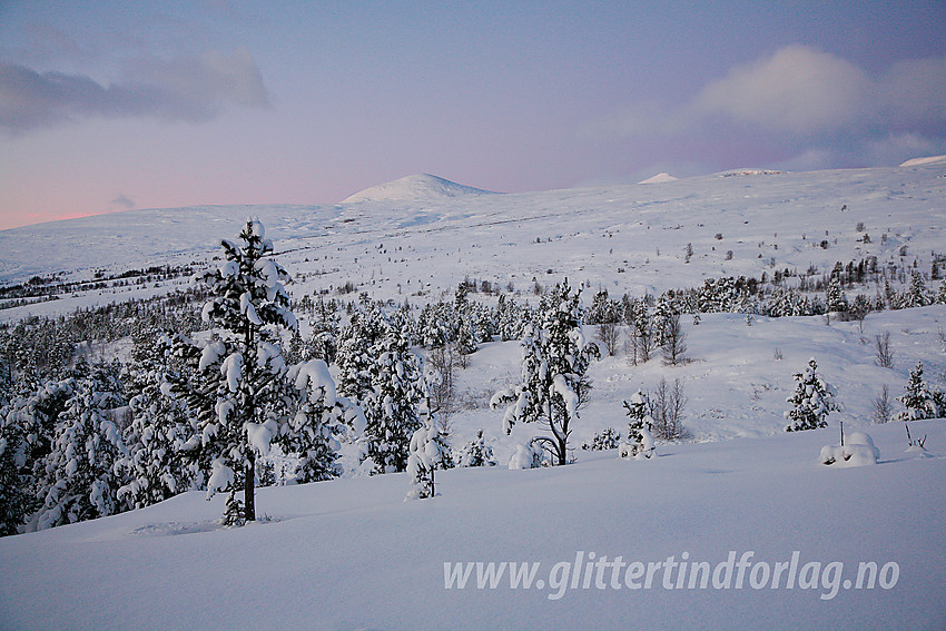 Grålysning over Sjodalen. Her oppunder Hindsæterkampen innover mot Hindflye. Russli-Rundhøe (1831 moh) ses i bakgrunnen. Nautgardstinden (2258 moh) stikker også såvidt frem.