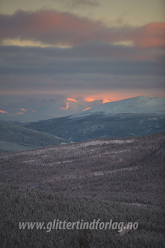 Fra Hindsæterkampen nordøstover ned Sjodalen og videre mot Heidal og helt til Rondane.