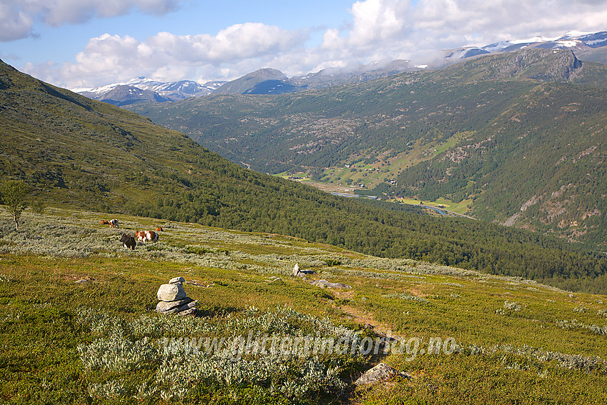 På den lite gåtte stien fra Elveseter til Juvasshytta, som byr på en storslått utsikt over Leirdalen.