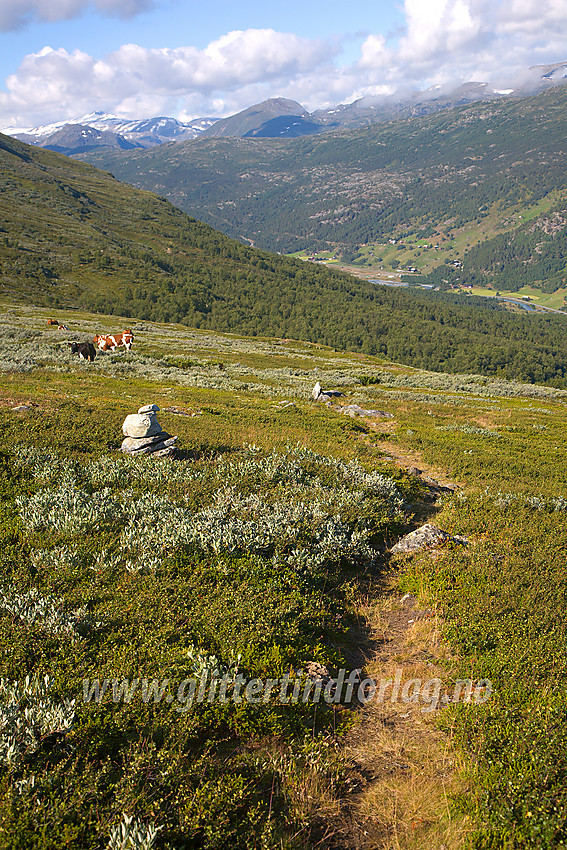 På den lite gåtte stien fra Elveseter til Juvasshytta, som byr på en storslått utsikt over Leirdalen.