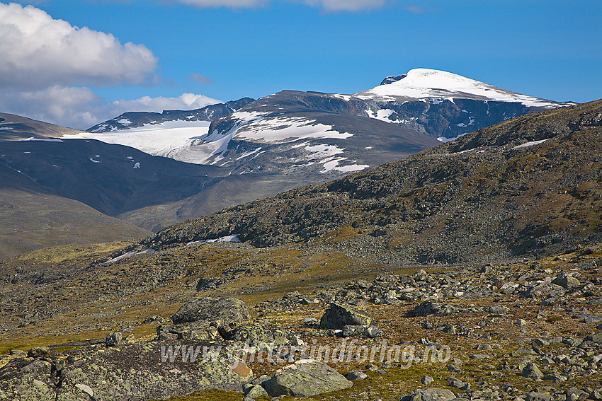 På ruta mellom Juvasshytta og Raubergstulen med flott utsikt mot Glittertinden, dens vestre oksle, Grotbrean og Trollsteineggje bakenfor.