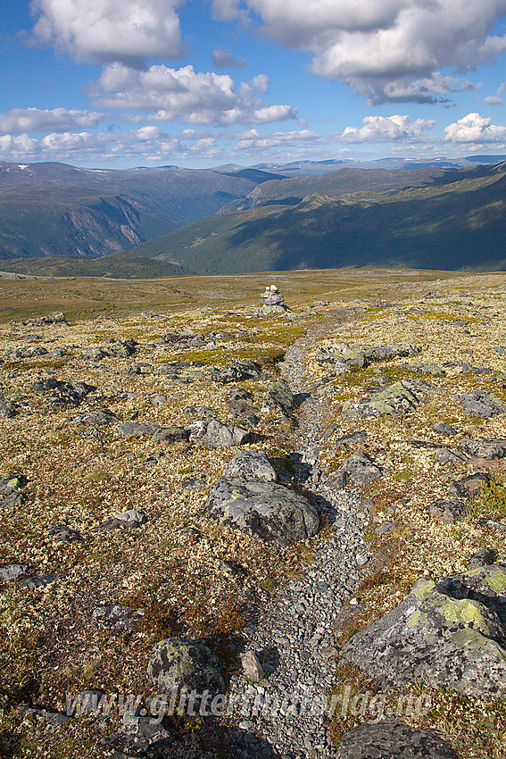 På ruta mellom Juvasshytta og Raubergstulen i lia ned mot veien.