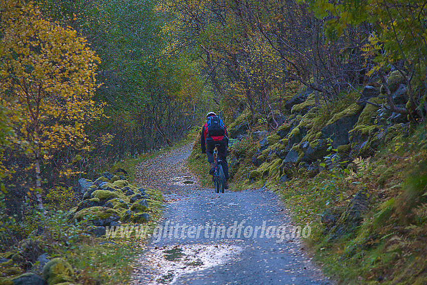 Syklen er en kjærkommen transportmiddel på folkevegen fra Hjelle mot Vetti Gard i Utladalen.