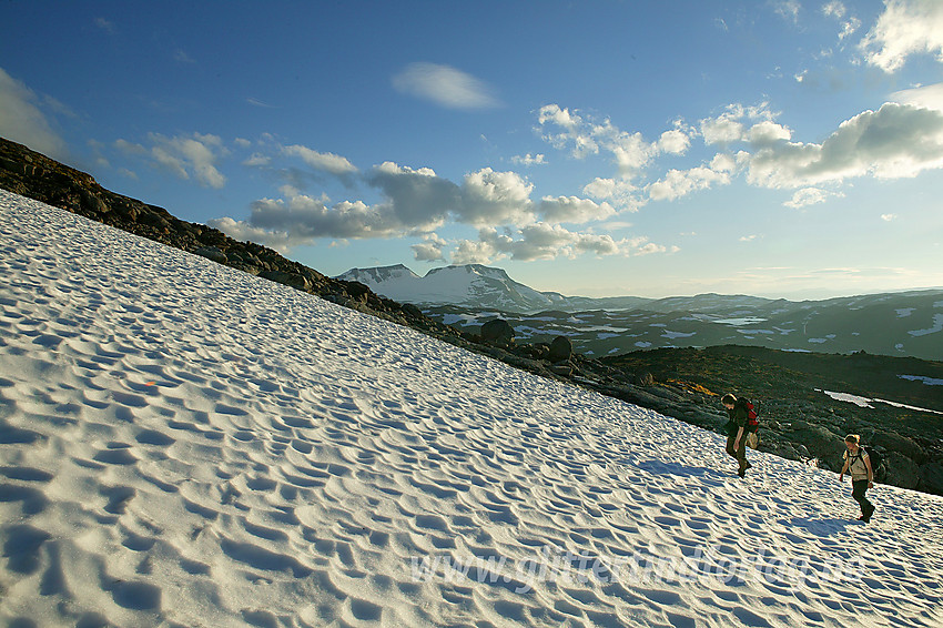 På tur fra Krossbu mot Leirbrean. I bakgrunnen Fannaråken (2068 moh), Steindalsnosi (2025 moh) og Sognefjellet.