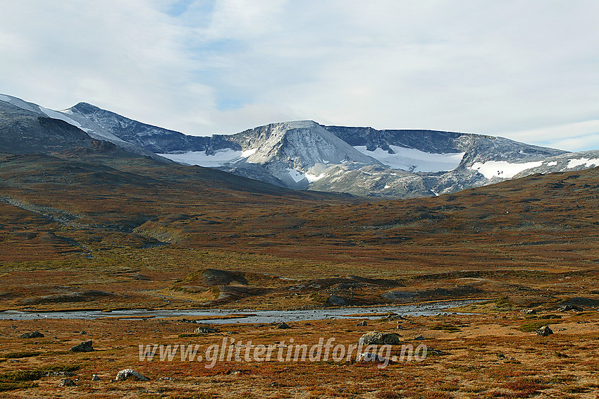 Fra Veodalen mot Nautgardsoksle (2089 moh.) med de to Nautgardsbreane på hver sin side. I bakgrunnen til venstre stikker så vidt Nautgardstinden (2258 moh.) opp. 