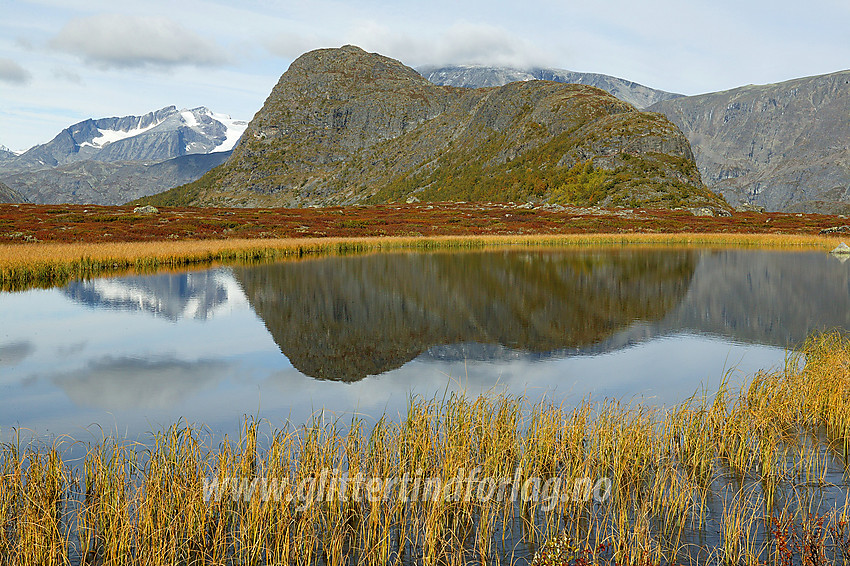 Ved noen småvann ved riksvei 51 med utsikt mot Knutshøe (1517 moh.) og Surtningssue med Surtningssubrean i bakgrunnen.