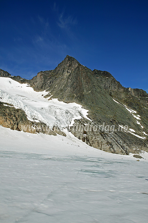 I Knutsholet med Nørdre Knutsholstinden (2185 moh) i bakgrunnen. Vi står på selve Knutsholsbrean og ser bort på hengebreen borte i fjellsiden. Tidligere på morgenen gikk vi opp der hengebreen nesten når ned til den andre breen.