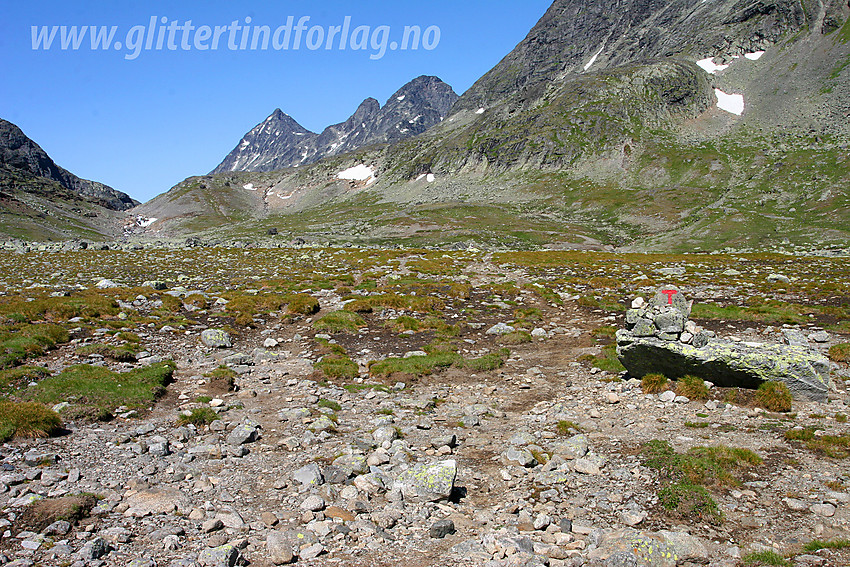 Stien mot Gjendebu gjennom Torfinnsdalen. Store Knutsholstinden (2341 moh.) stikker markant opp i bakgrunnen.