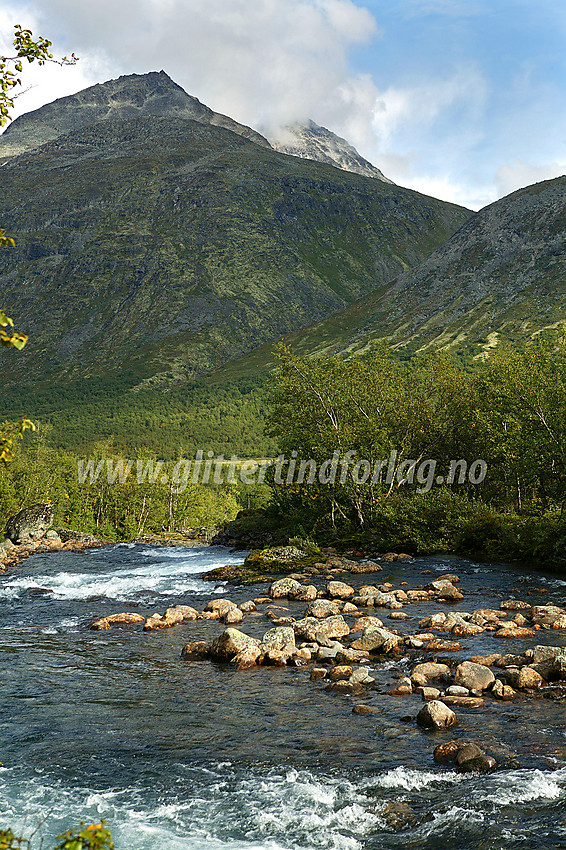 I Storådalen med Knutsholsryggen i bakgrunnen.