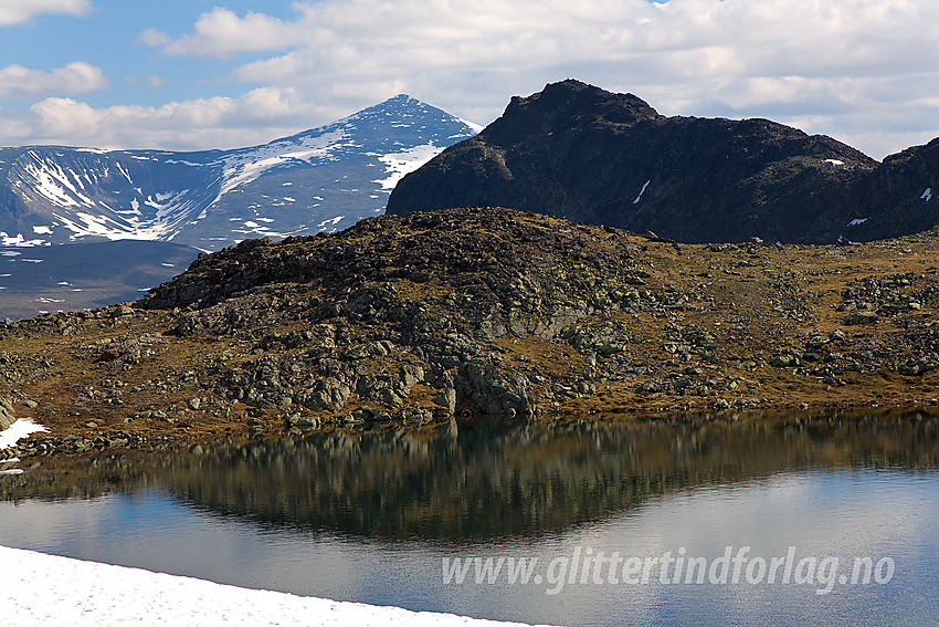 Gloptinden (1678 moh) i forgrunnen. Nautgardstinden (2258 moh) i bakgrunnen.