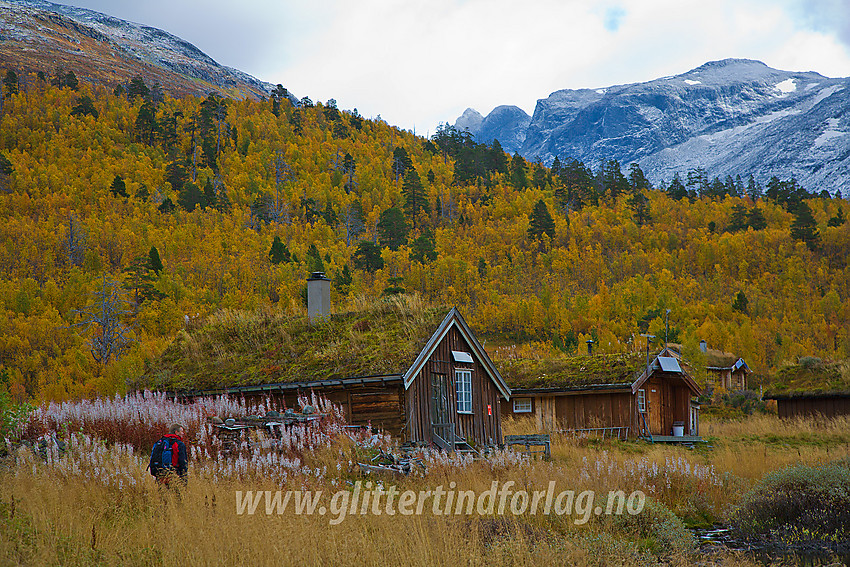 På Vettismorki. Hjelledalstinden (1989 moh) stikker så vidt opp i bakgrunnen.