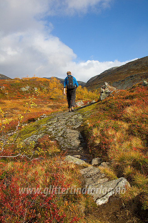 På stien mellom Ingjerdbu mot Skogadalsbøen/Tyinholmen om Fleskedalen opp mot Fleskenoshaugane.