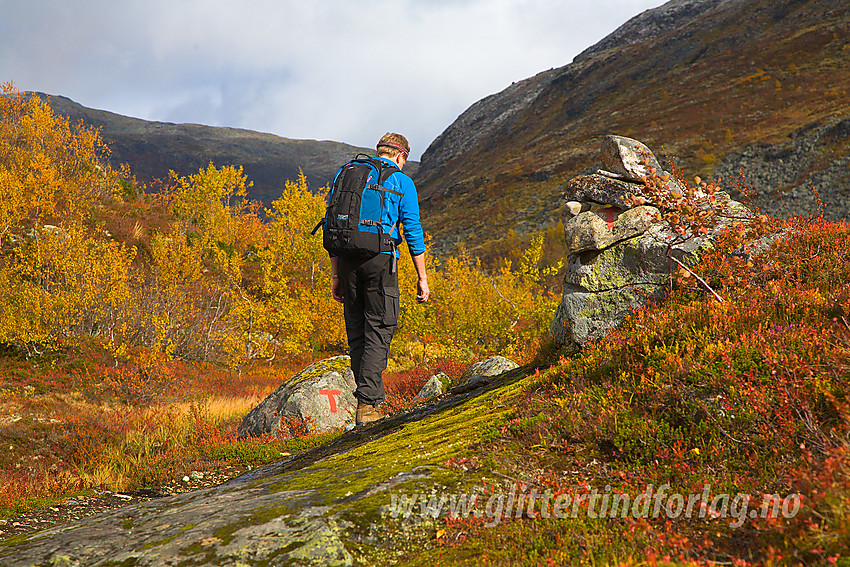 På stien mellom Ingjerdbu mot Skogadalsbøen/Tyinholmen om Fleskedalen opp mot Fleskenoshaugane.