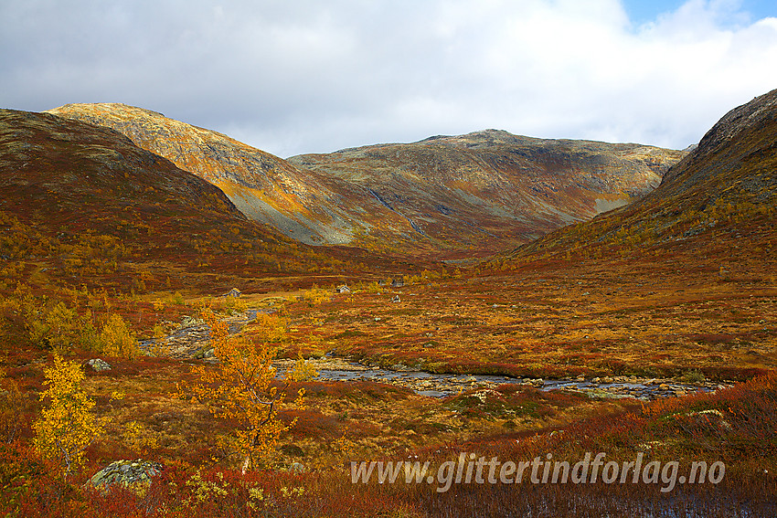 På stien mellom Ingjerdbu mot Skogadalsbøen/Tyinholmen om Fleskedalen langs Fleskenoshaugane med utsikt innover Fleskedalen, der ruta mot Tyinholmen tar av.