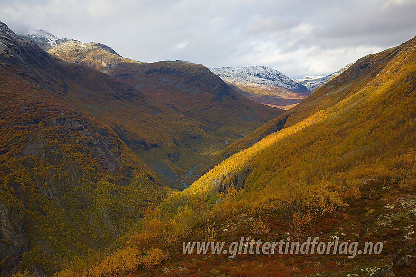 Utsikt oppover Utladalen fra Fleskenoshaugane.