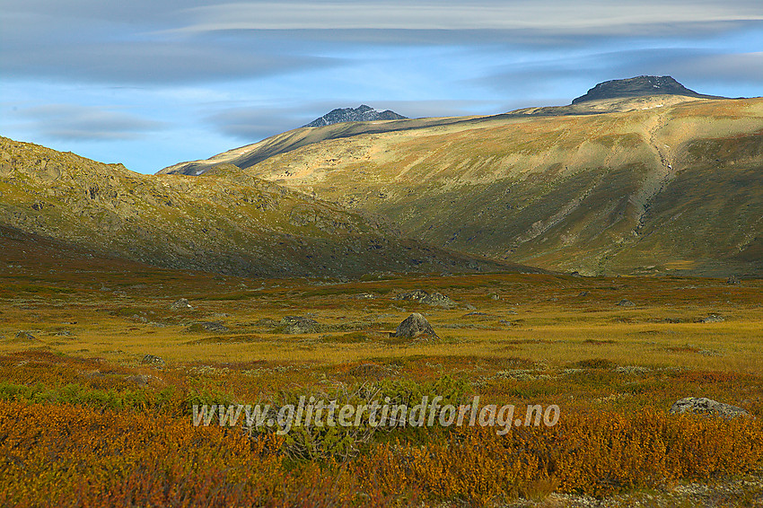 På Valdresflya en septembermorgen. I bakgrunnen ses Tjønnholstinden (2329 moh, til venstre) og Høgdebrotet (2226 moh, til høyre).