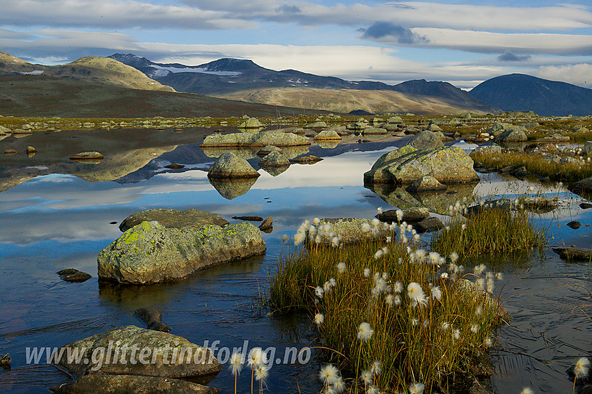 På Valdresflya en tidlig septembermorgen. Høgdebrotet (2226 moh) og Besshøe (2258 moh) ses i bakgrunnen.