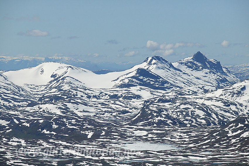 Fra Nørdre Svartdalspiggen mot bl.a. Koldedalsbreen, Koldedalstinden og Hjelledalstinden.