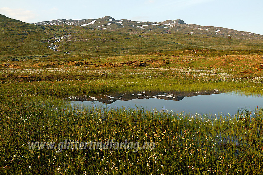 Ved en liten myr rett ved Eidsbugarden mot Skjenegge og Utsikten.