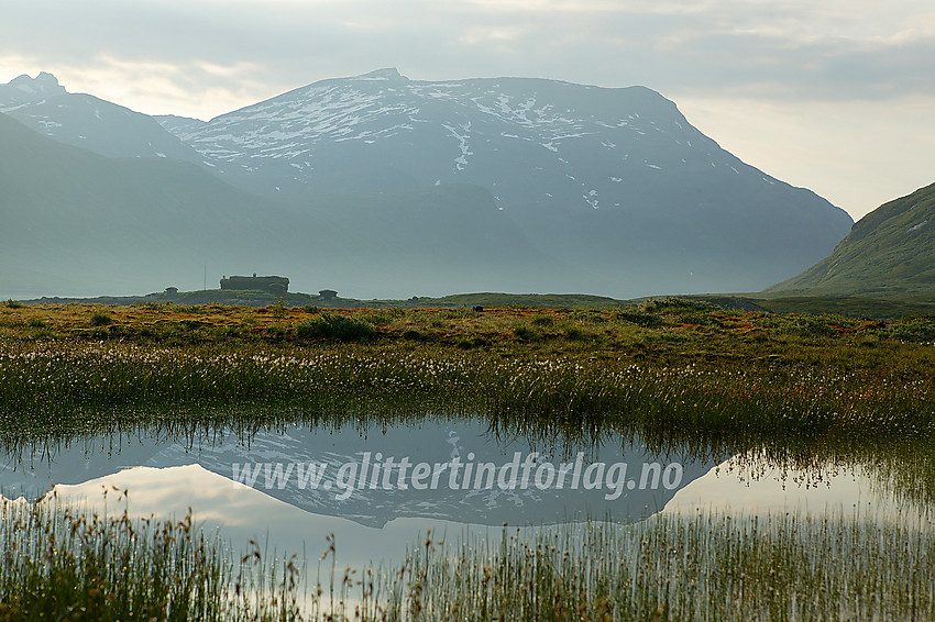 Et lite myr rett ved Eidsbugarden. Galdebergtinden (2075 moh), reiser seg i bakgrunnen, speiler seg i en liten vannpytt. 