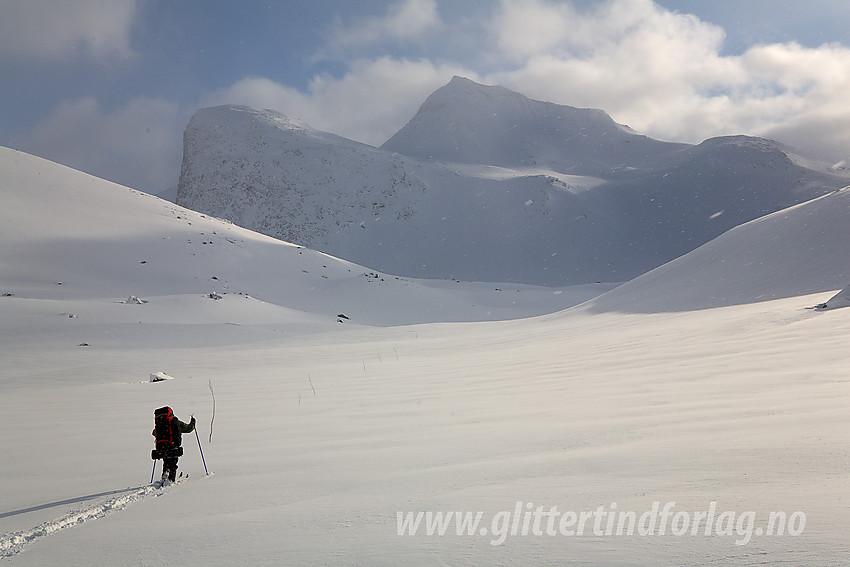 På kvistet løype mot Olavsbu med Olavsbunuten (1970 moh) og Mjølkedalstinden (2137 moh) i bakgrunnen. Tungt men samtidig herlig å brøyte spor slik i dyp løssnø.