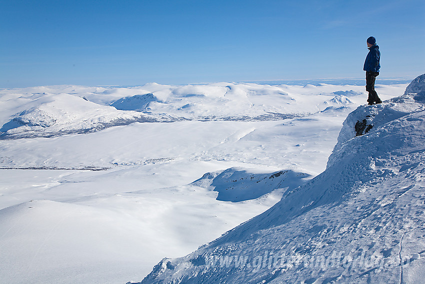 Fra Nautgardstinden mot sørøst, med bl.a. Besstrondfjellet og Heimdalshøe.